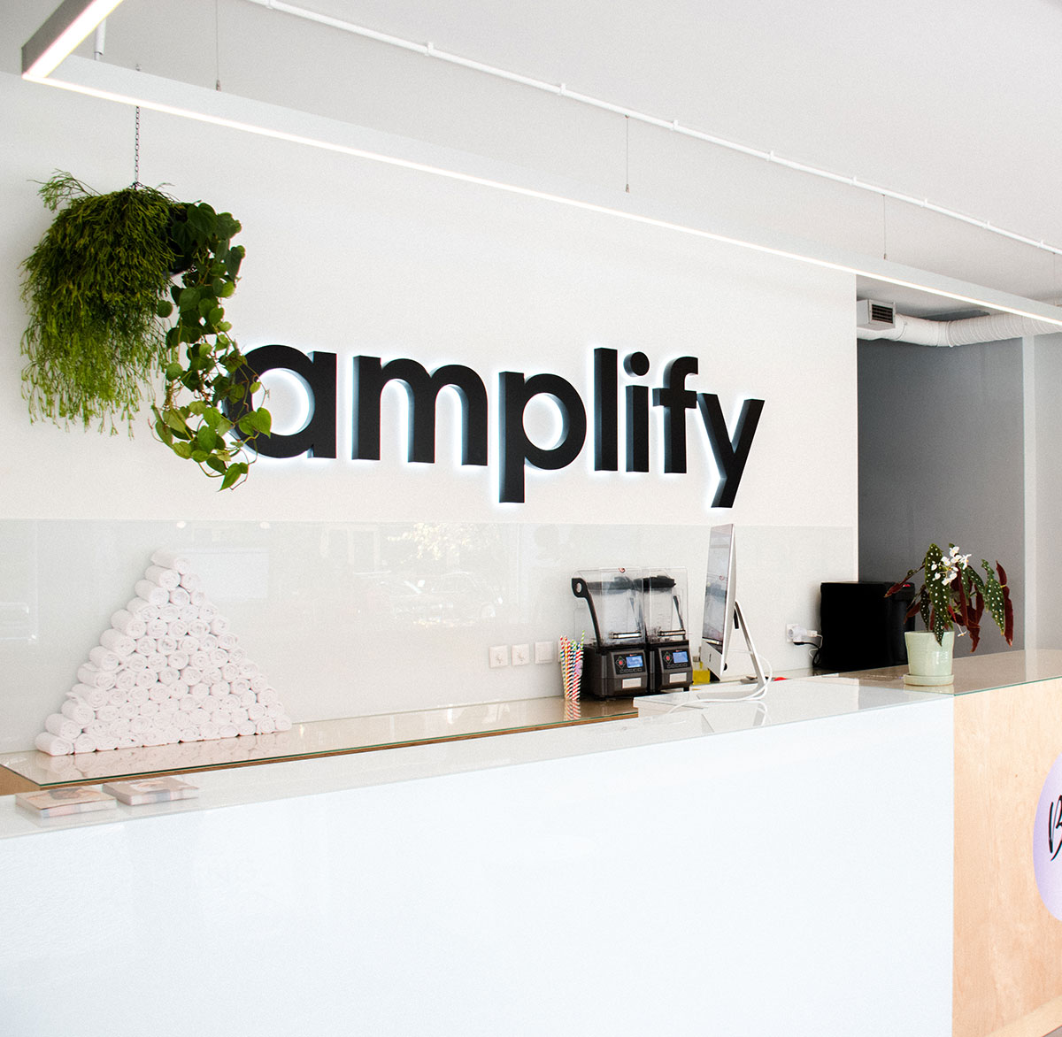 amplify studio